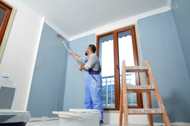 Best Painting for New Construction  in USA